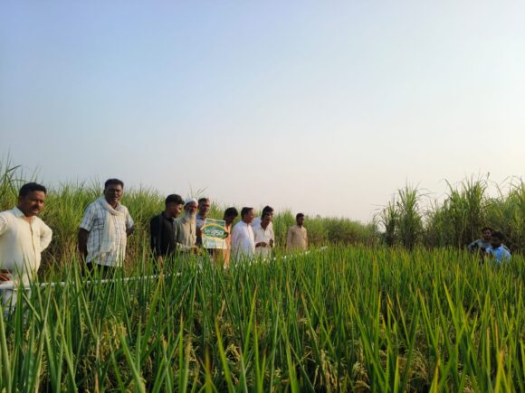 नेकी की दीवार  निरंतर कृषि कार्यों में भी लोगों को जागरुक कर उनकी आय बढ़ाने का काम कर रही है