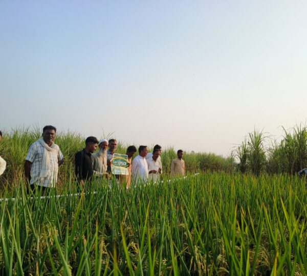 नेकी की दीवार  निरंतर कृषि कार्यों में भी लोगों को जागरुक कर उनकी आय बढ़ाने का काम कर रही है